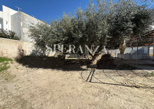 Terrain El Yassamine