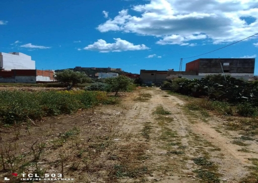 A Vendre Terrain à Mansoura Klibia