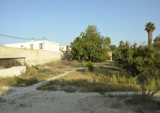 À Vendre Terrain à La Soukra