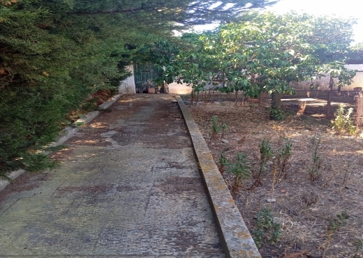 Ferme à vendre à Menzel Bourguiba, Bizerte 🏡