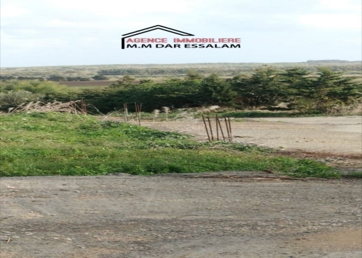 terrain À Vendre à NABEUL - terrain sur la route principal - Immobiliere.tn - Photo 5